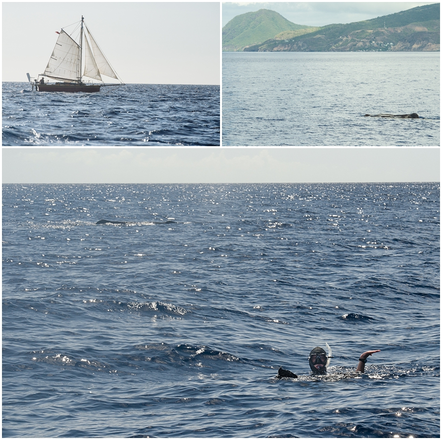 Dominica_0017